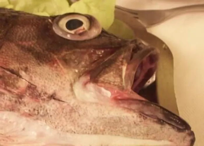 O Castelo 2* ثيرفو